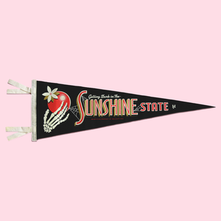 Getting Dark In The Sunshine State Pennant